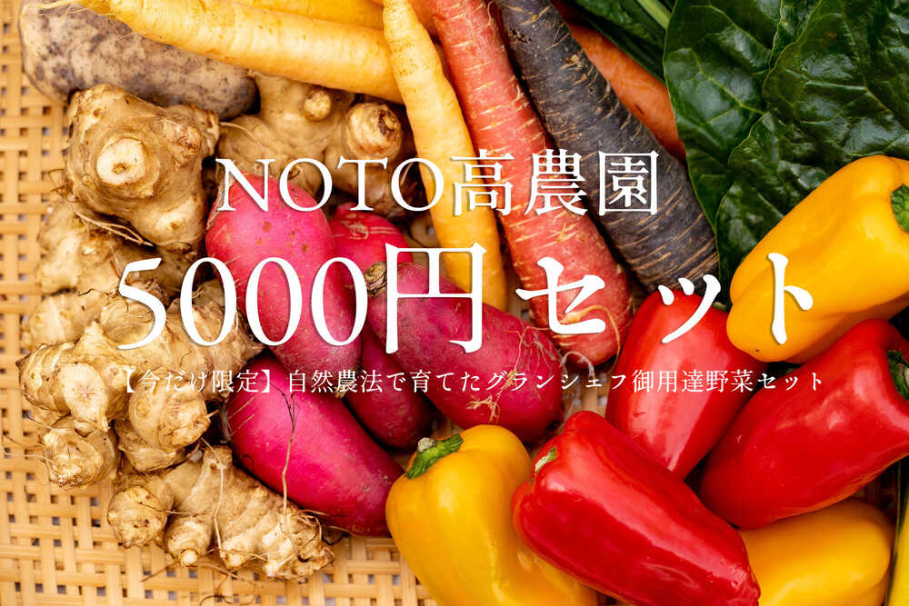 NOTO高農園 グランシェフ御用達の野菜セット 5000円セット(税込・送料別) ¥5,000 税込